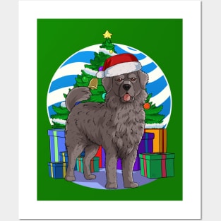 Newfoundland Dog Cute Santa Christmas Gift Posters and Art